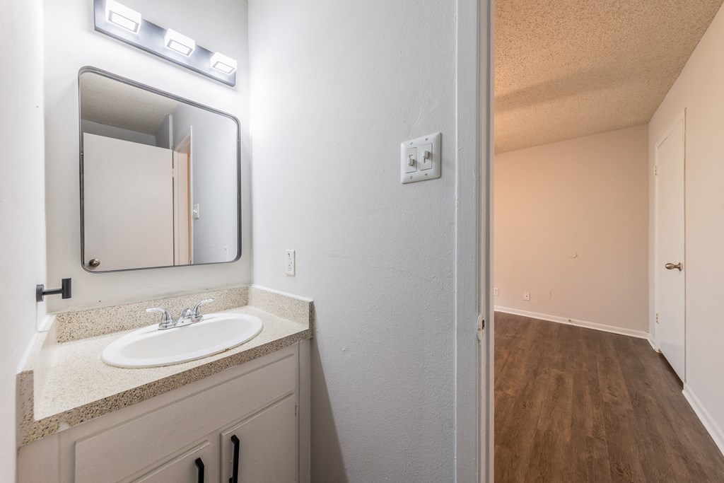 a bathroom with a sink and a mirror