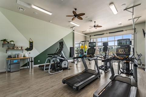 A gym with treadmills, elliptical machines, and a fan.