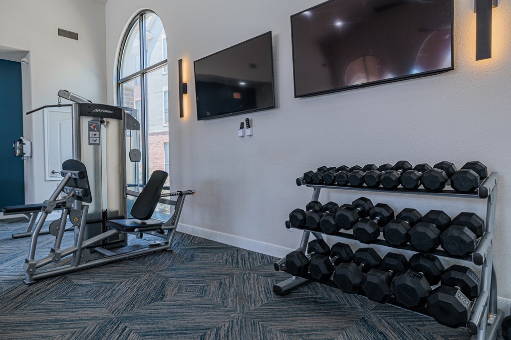 a gym with weights and a tv on the wall
