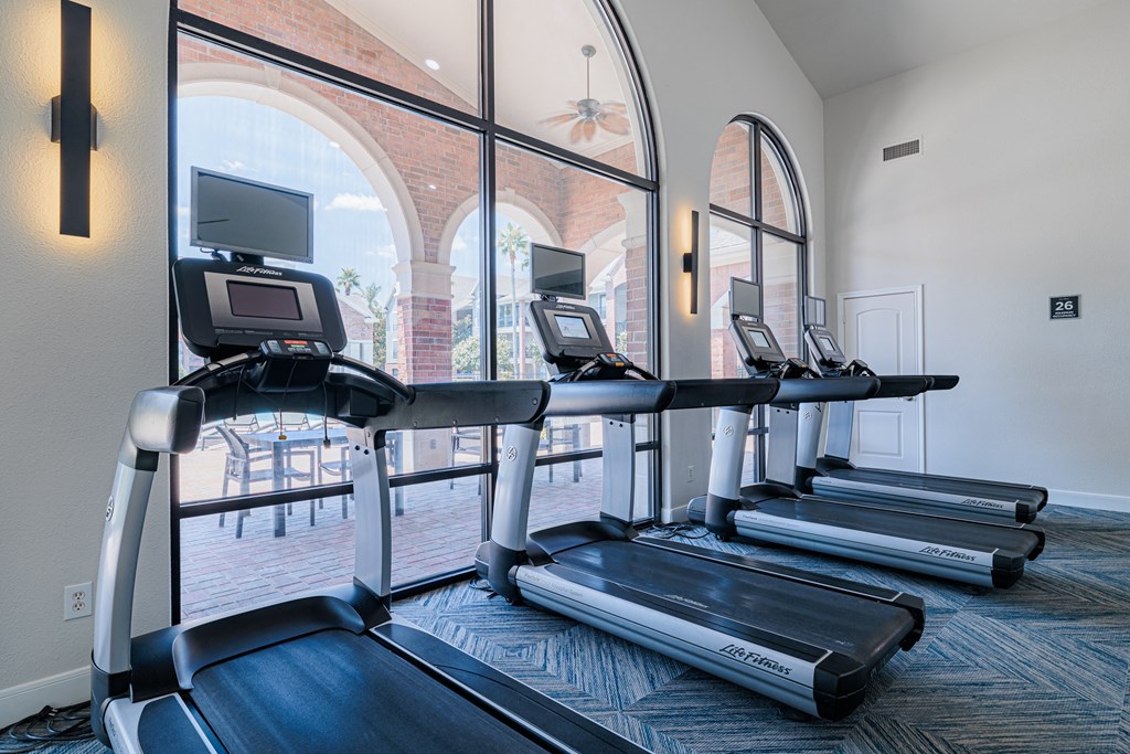 a row of treadmills in a fitness room with large windows