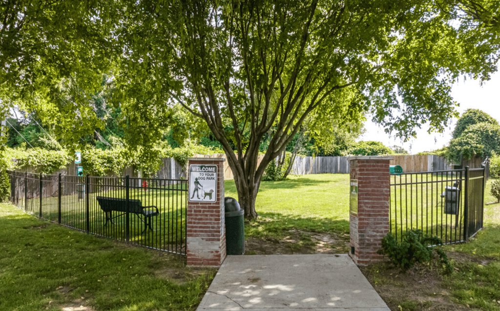 a park with a tree and a fence