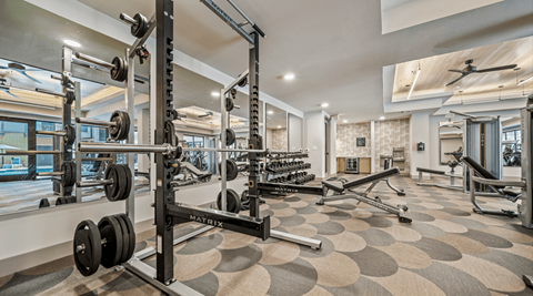 A well-equipped gym with a variety of weightlifting equipment.