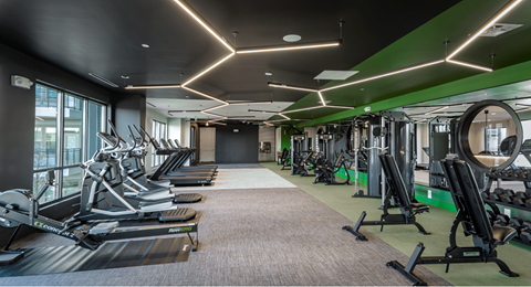 A gym with treadmills, weights, and exercise machines.