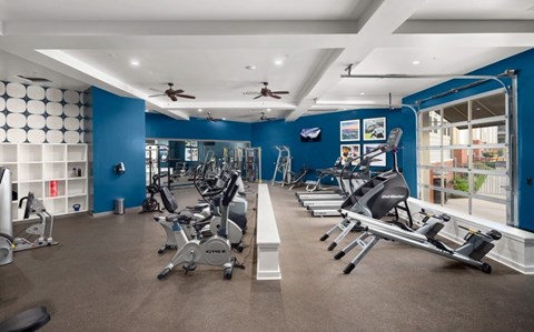 A gym with a variety of exercise equipment including treadmills, stationary bikes, and weight machines.
