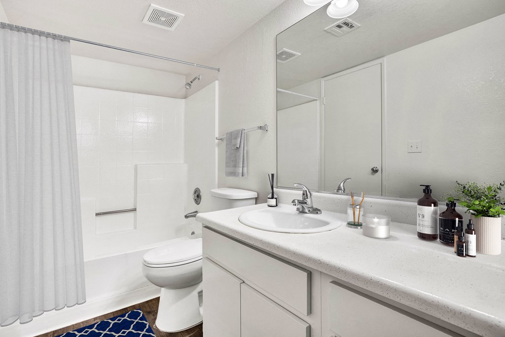 a bathroom with a sink and a toilet and a shower