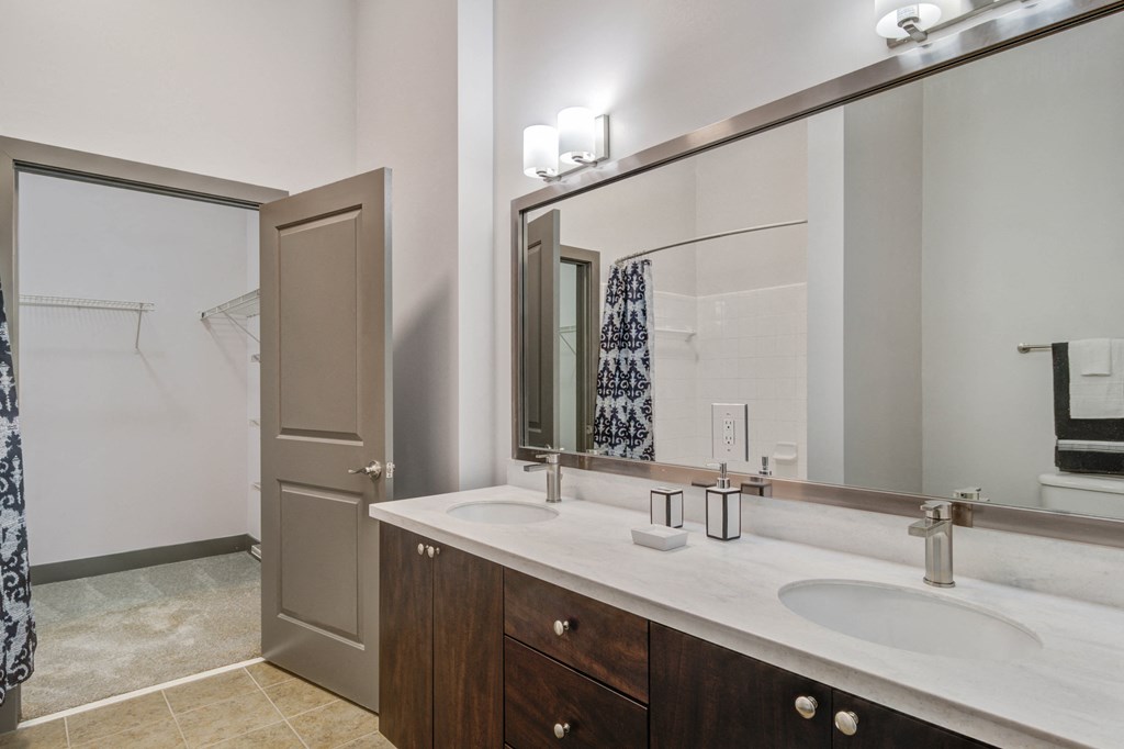a bathroom with a sink and a mirror and a shower