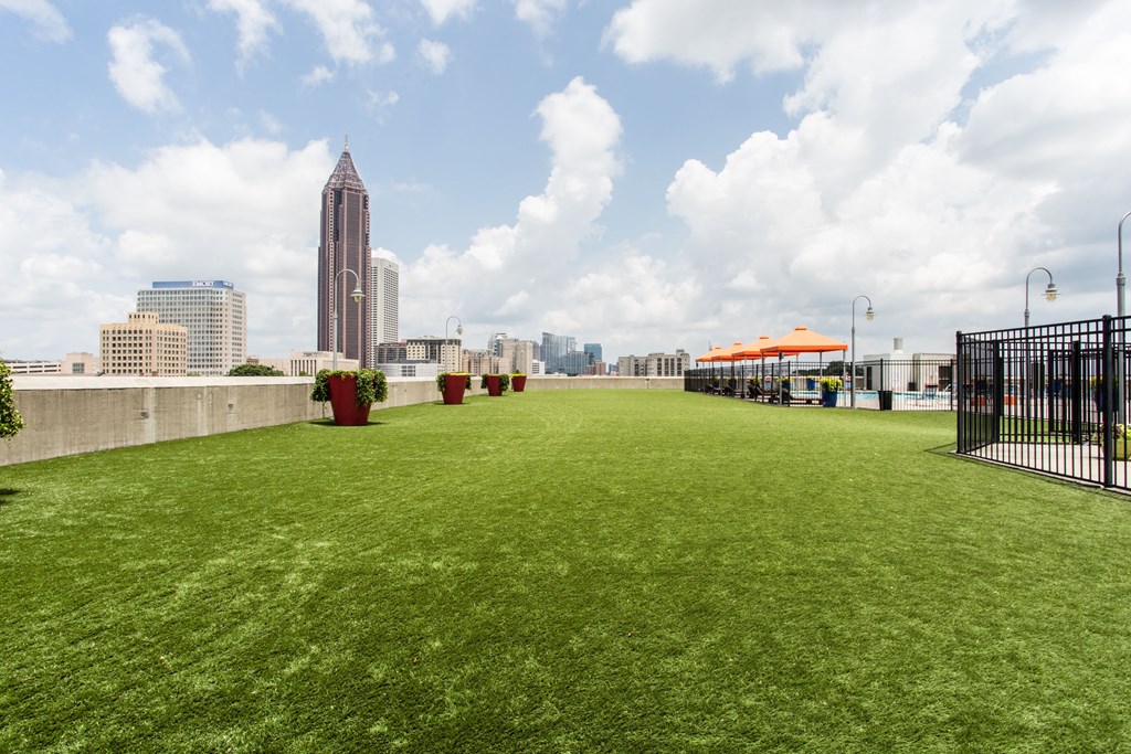 a lawn on the roof of a building with a city skyline in the background