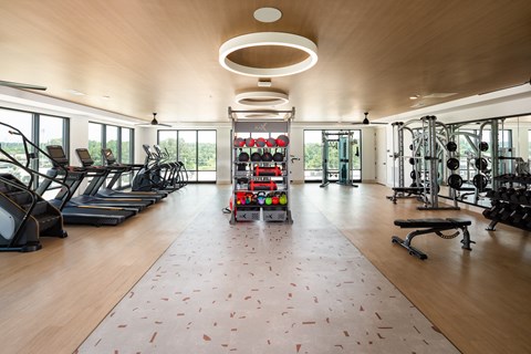 A gym with treadmills, weights and exercise equipment.
