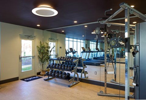 A gym with a variety of equipment including a treadmill, weights, and a bench press.