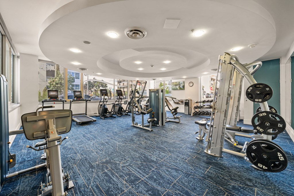 a gym with cardio equipment and weights on a blue rug