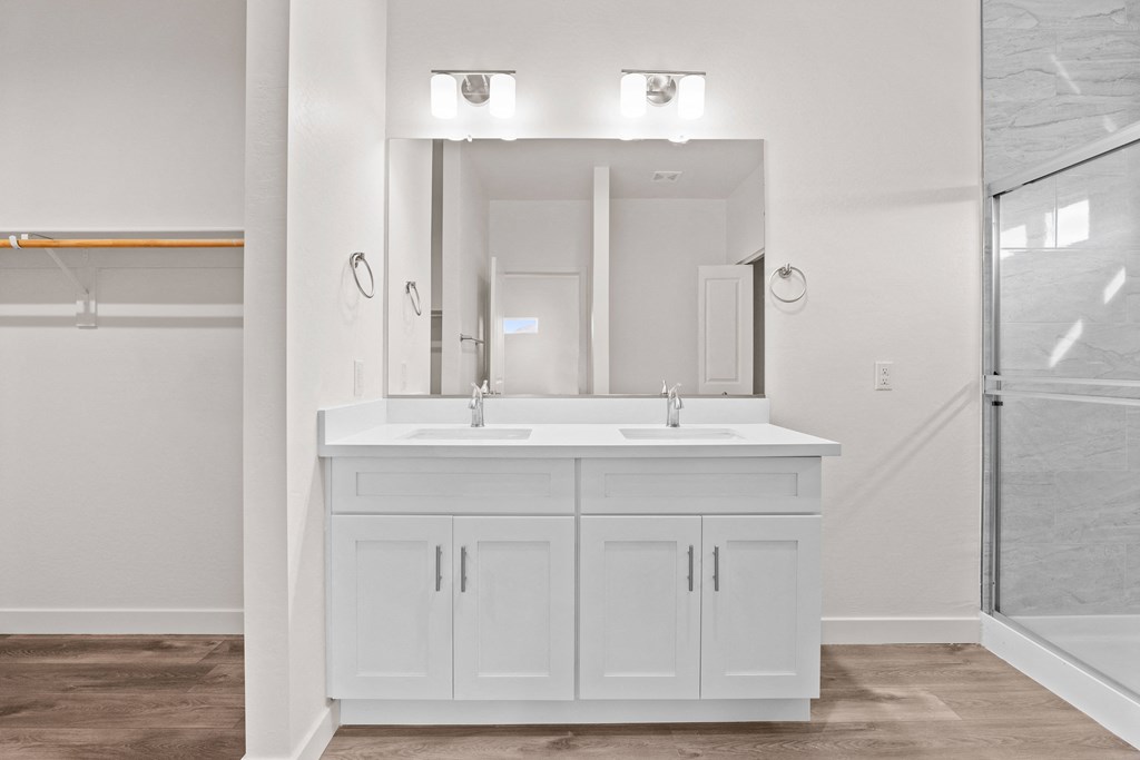 a bathroom with a sink and a mirror and a shower