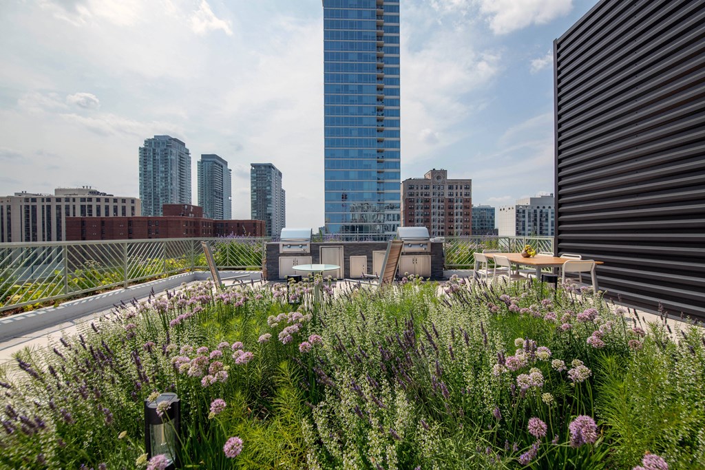 A cityscape with a green space in the foreground.