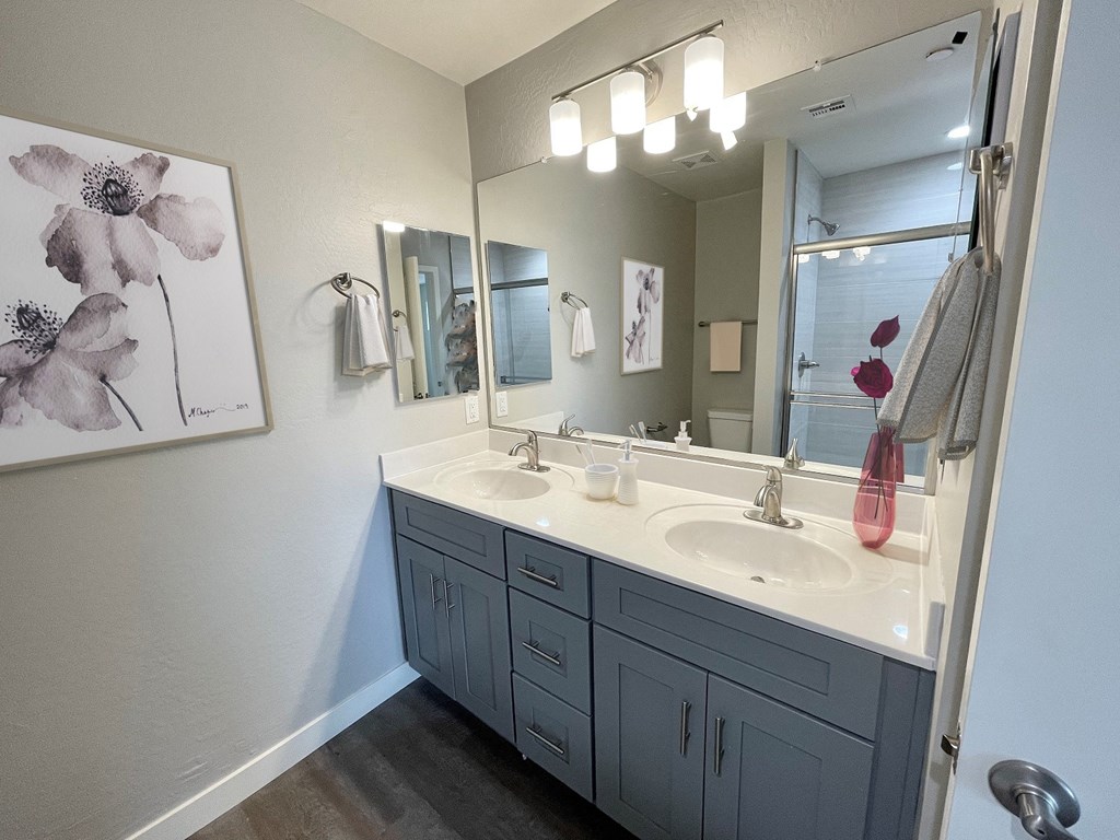 the preserve at ballantyne commons bathroom with dual sinks and a large mirror