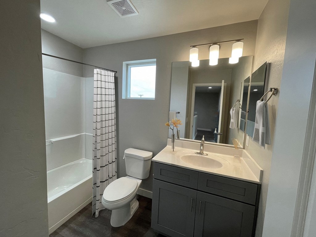 a bathroom with a sink and a toilet and a shower