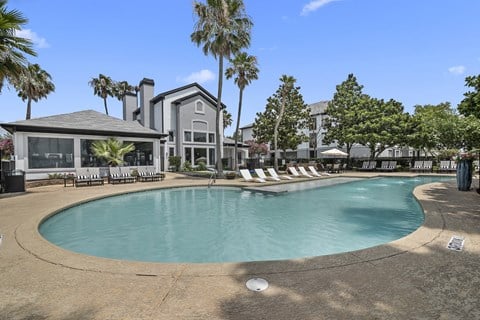 A large swimming pool surrounded by palm trees and lounge chairs.
