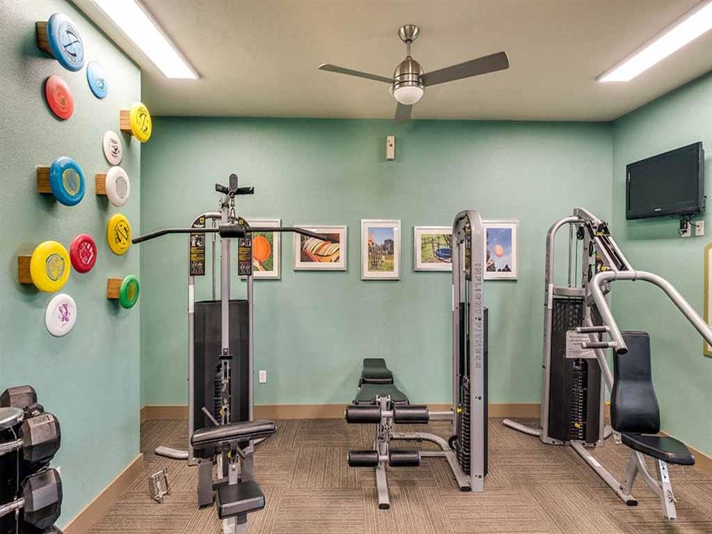 a gym with exercise equipment and a tv in a home
