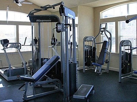 a gym with a lot of exercise equipment in it