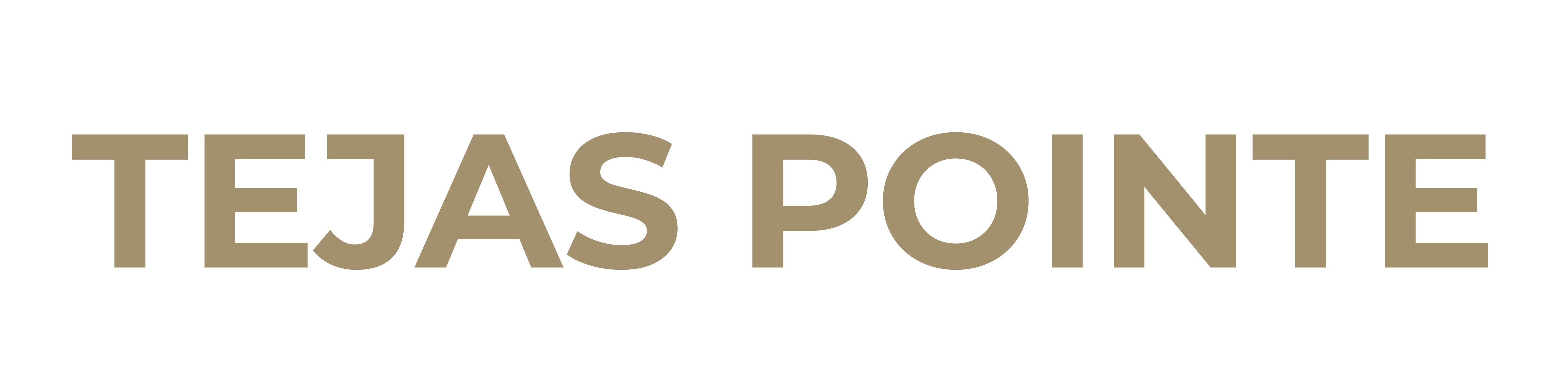 The image features the words "TEJAS POINTE" in large, bold letters.