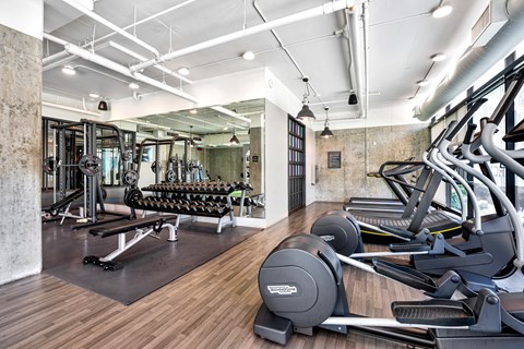 A gym with a variety of equipment including treadmills, weights, and a bench press.