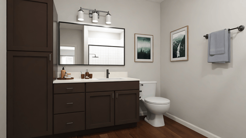 A bathroom with a white toilet and a brown cabinet.