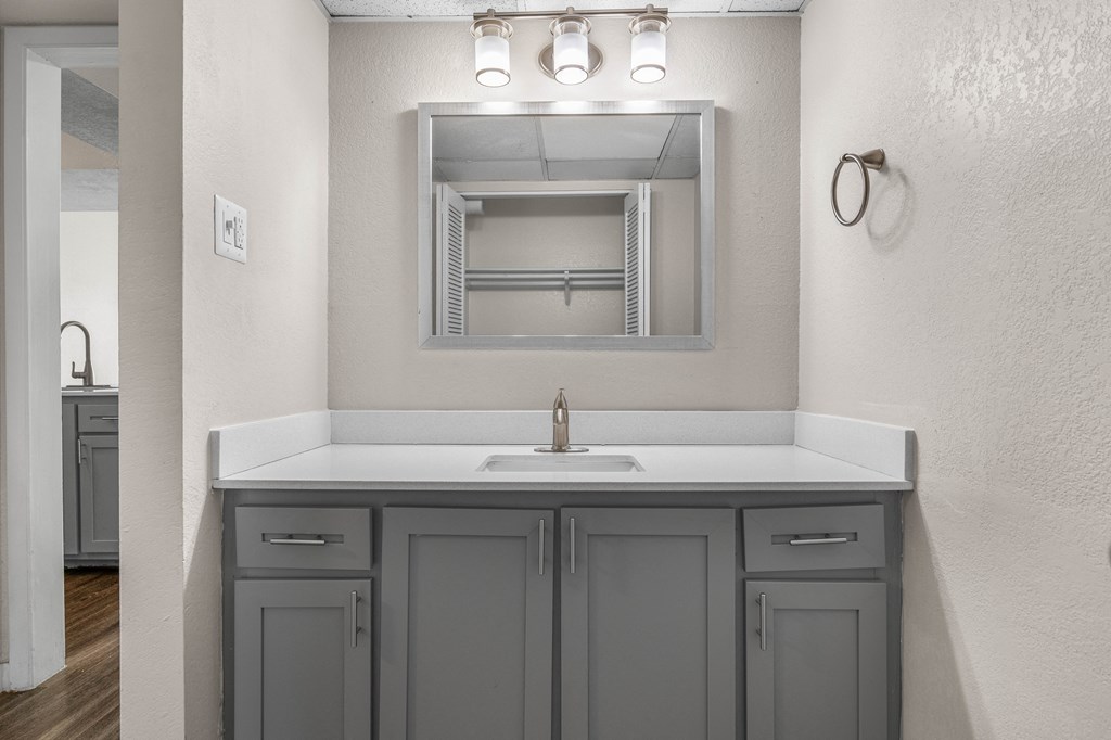 a bathroom with a sink and a mirror