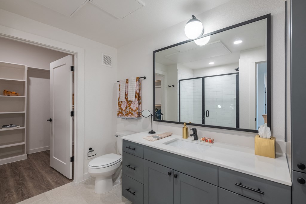 the enclave at homecoming terra vista bathroom