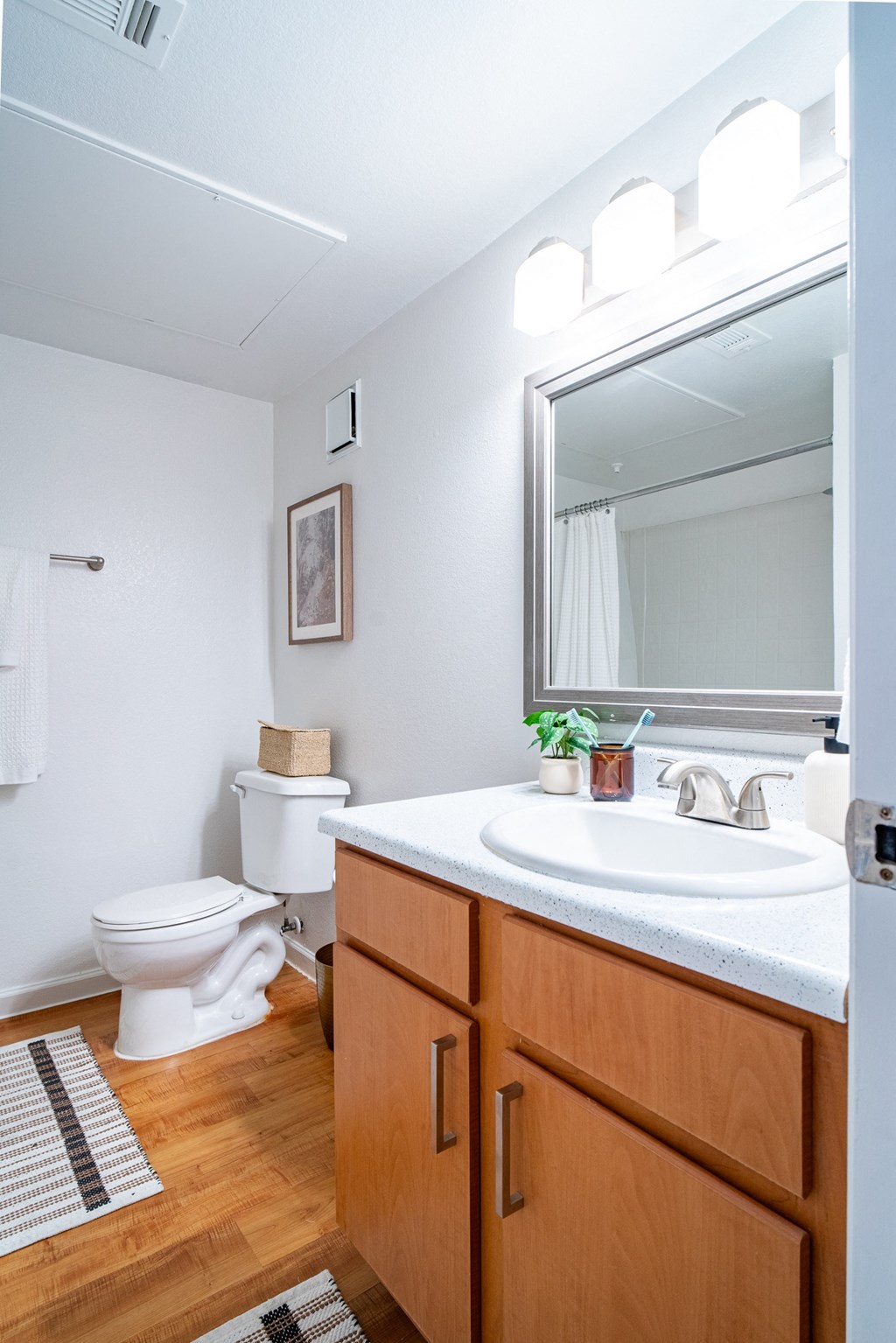 a bathroom with a sink and a toilet and a mirror