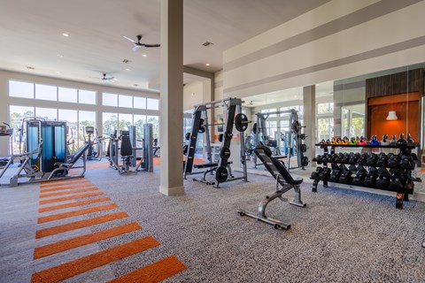 A gym with orange stripes on the floor.