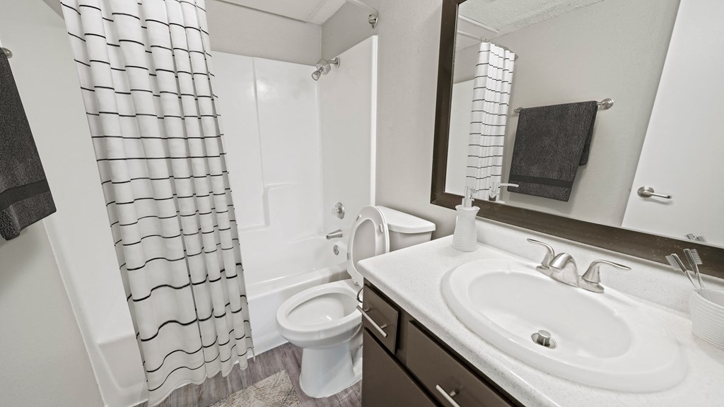 a bathroom with a sink and a toilet and a shower