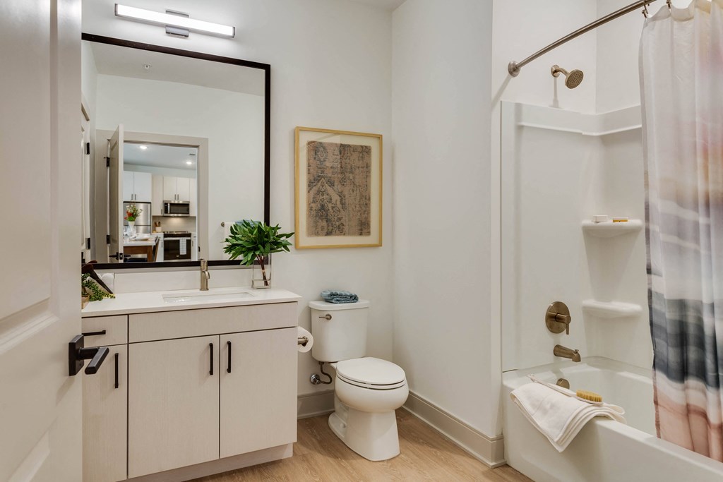 a bathroom with a shower toilet and sink and a mirror