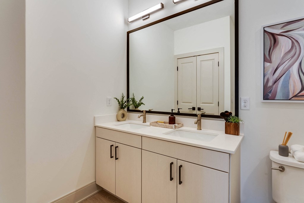 a bathroom with a sink and a mirror and a toilet