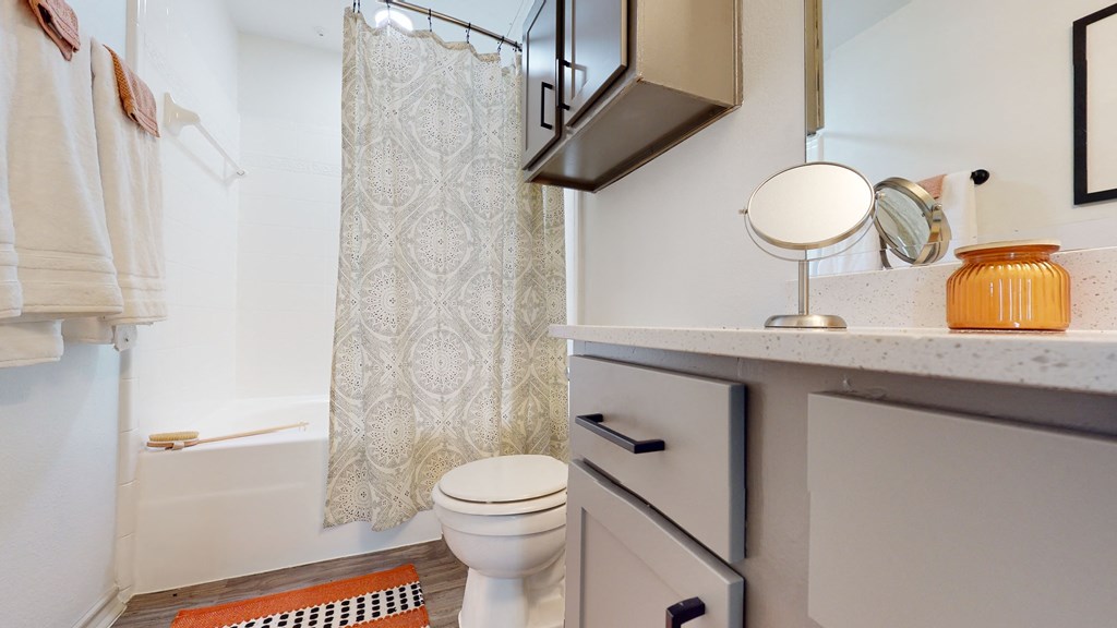 a bathroom with a shower and a toilet and a sink