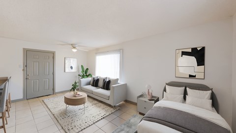 A bedroom with a bed, a couch, and a rug.