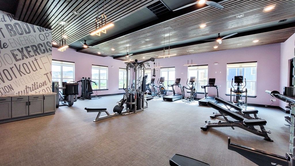 the gym is equipped with a variety of weights and cardio equipment