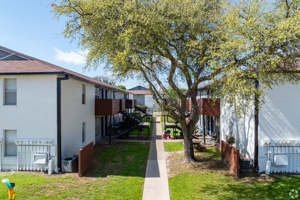 A tree with green leaves is in front of a white building.