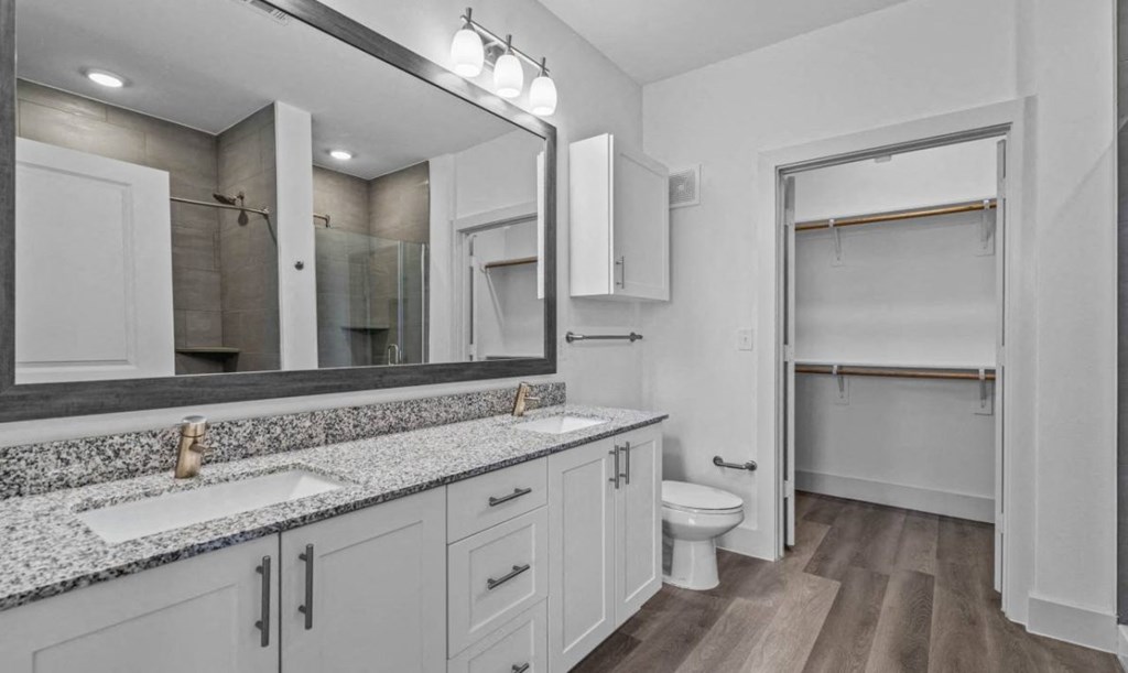 a bathroom with a sink and a toilet and a mirror