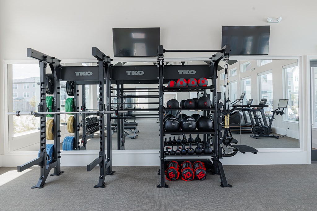 A gym with a squat rack and weights.