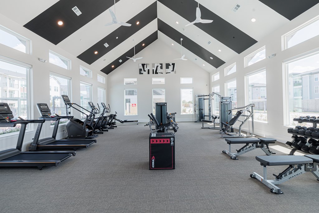 A gym with treadmills, weights and exercise machines.