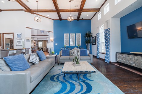 A living room with a grey couch and a blue rug.