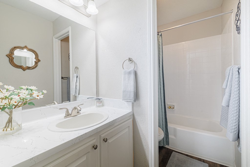 a bathroom with a sink and a shower and a mirror