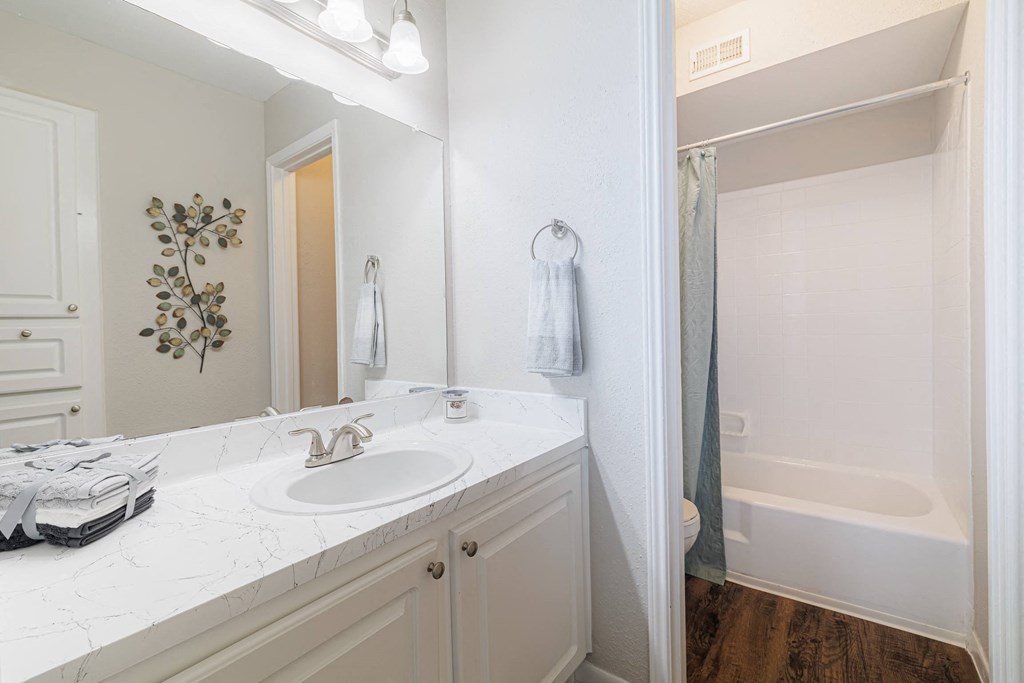 a bathroom with a sink and a shower and a mirror