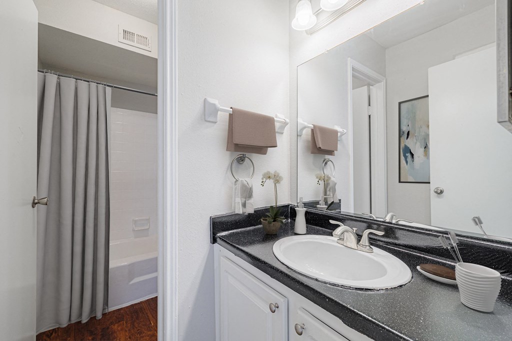 a bathroom with a sink and a mirror and a shower