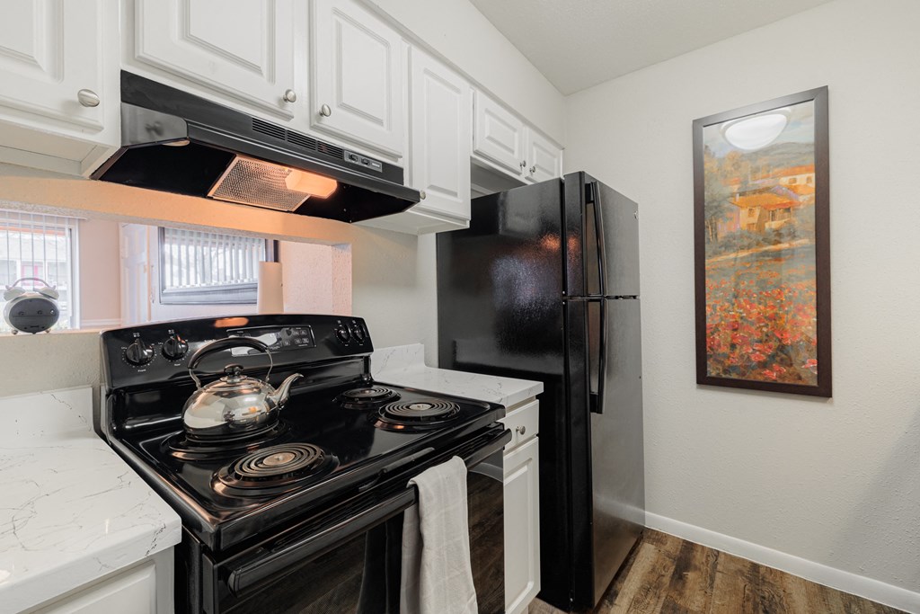 a kitchen with black appliances and white cabinets and a black refrigerator