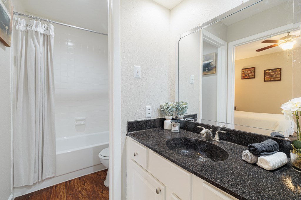 a bathroom with a sink and a shower and a mirror