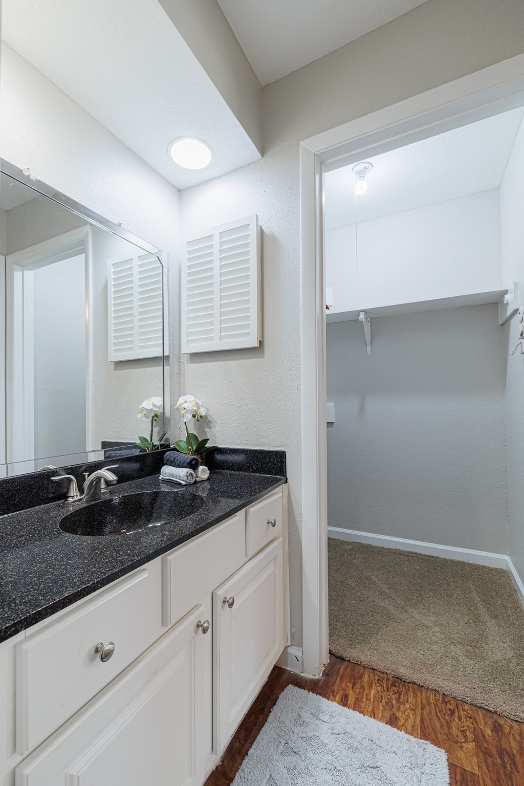 a bathroom with a sink and a mirror and a shower