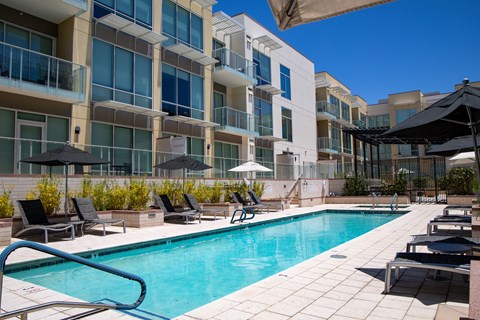 A swimming pool surrounded by lounge chairs and umbrellas in front of a modern building.