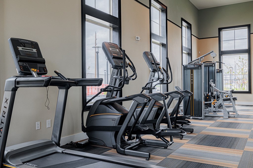 a row of treadmills and exercise machines in a fitness room