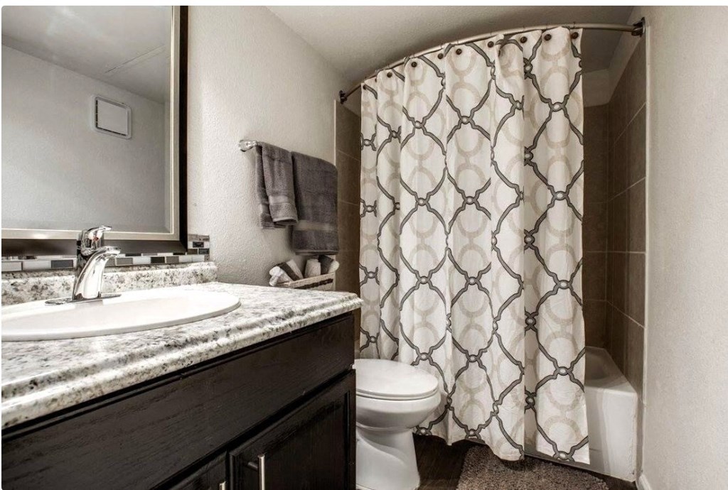 a bathroom with a sink and a toilet and a shower