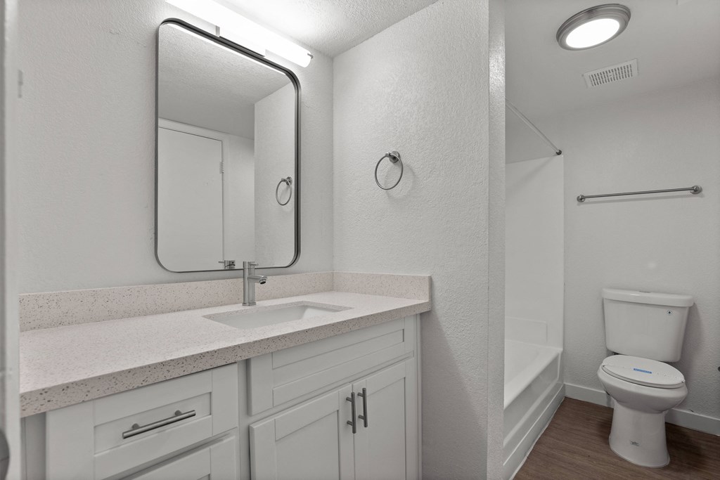 a bathroom with a mirror and a sink and a toilet