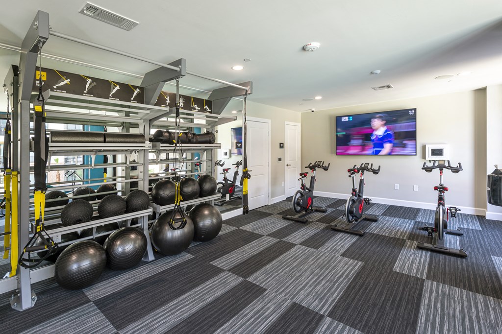 a gym with weights and exercise equipment and a television